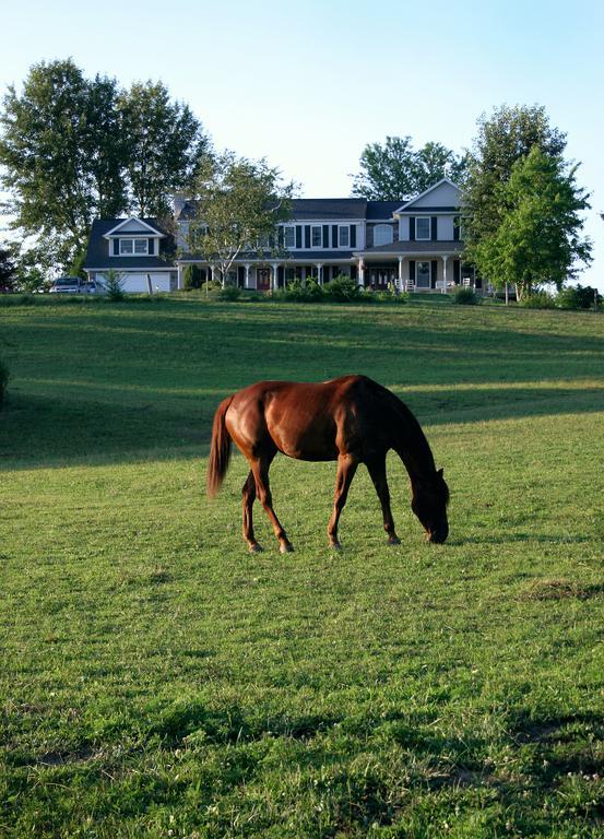 The Inn At Westwynd Farm Hershey Commodités photo