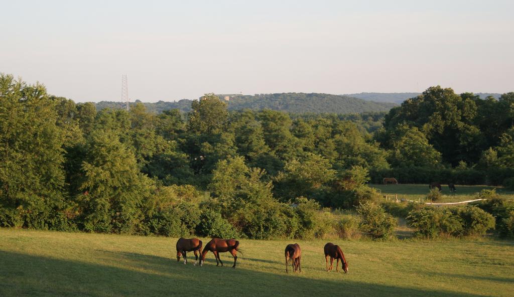 The Inn At Westwynd Farm Hershey Extérieur photo